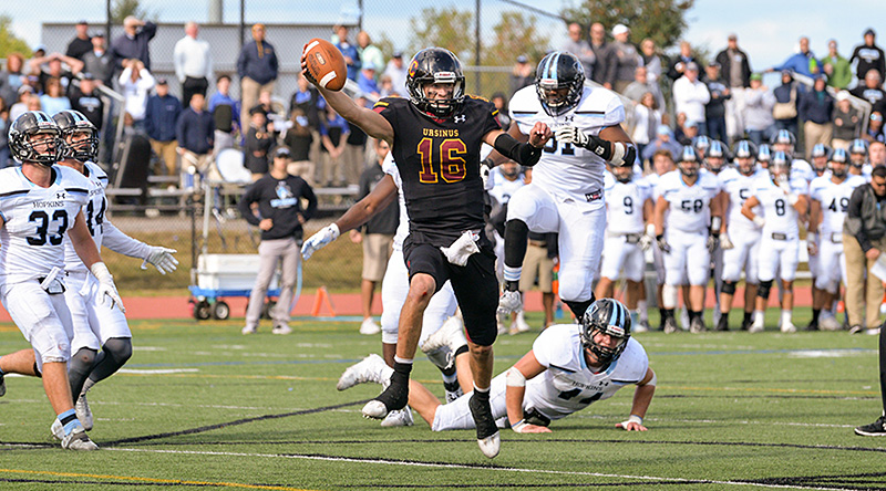 Ursinus